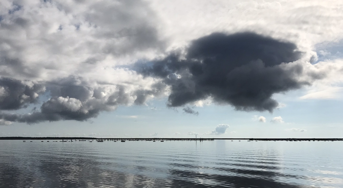 Shellfish Farms