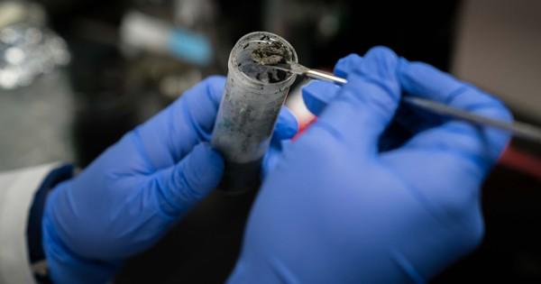 University of Delaware Researchers Study Microbes