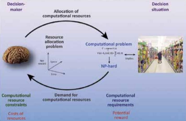 Decision as Computation [IMAGE] | EurekAlert! Science News Releases