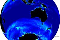 Phytoplankton Blooms Seen by Satellite