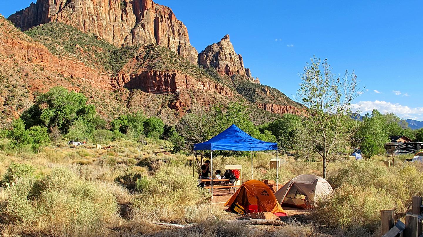 Watchman Campground in Zion National Park