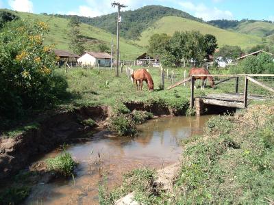 Habitat Split Leads to Biodiversity Decline (3 of 4)