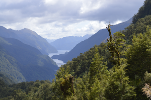 Doubtful Sound.jpg