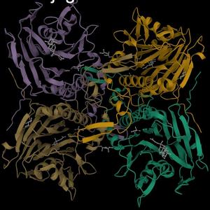 Bile salt hydrolase