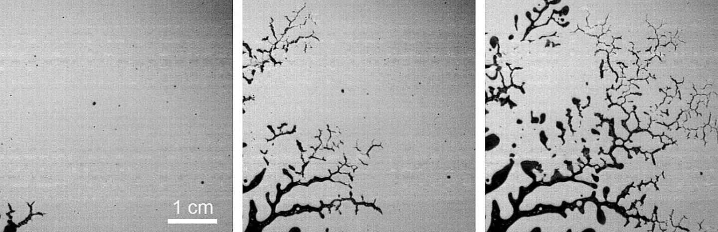 Fluid fractures like a solid