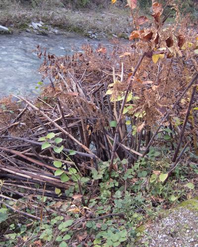 River Cassarate in Lugano, Switzerland