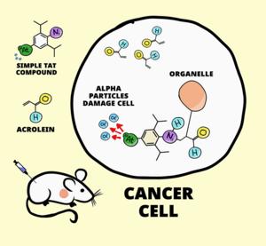 Targeted alpha-particle therapy