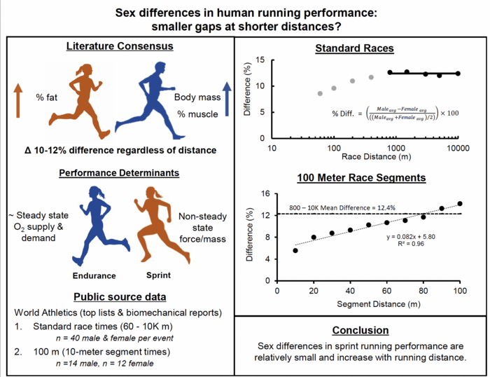 Sex differences in human running performance