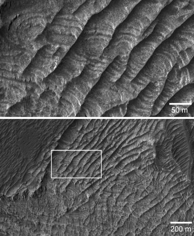Periodic Bedrock Ridges on Mars