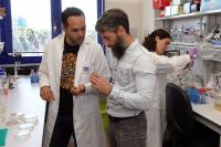 Researchers at the University of Malaga