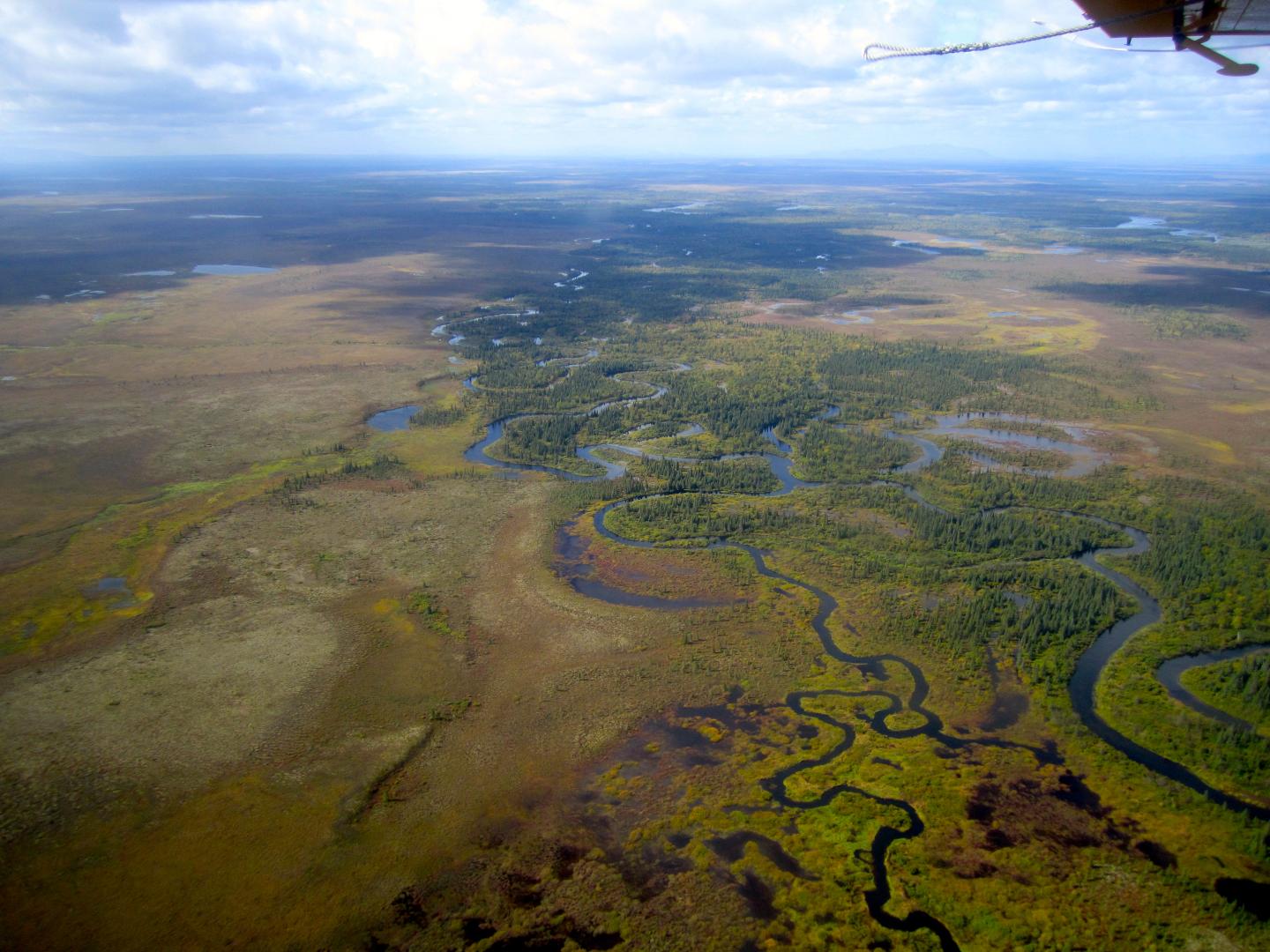 Nushagak Watershed