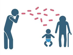 Spread of whooping cough