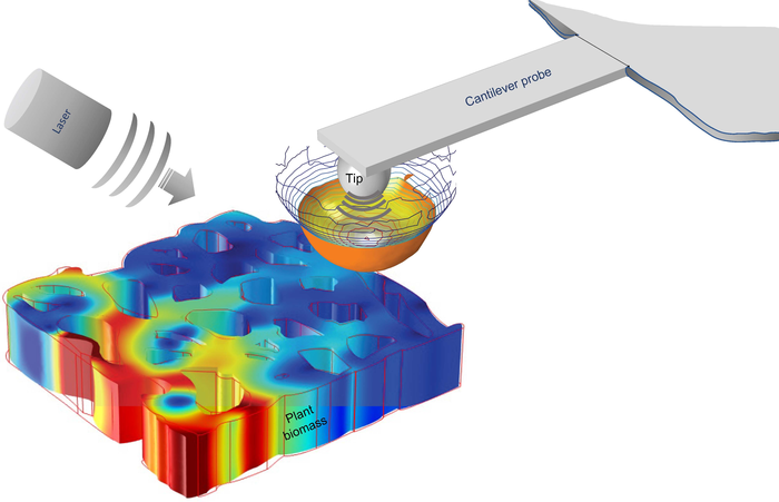 Scattering-type scanning near-field optical microscopy