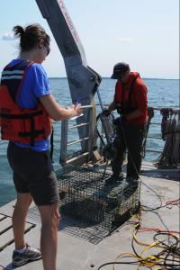Study Measures Drag from Fishing Gear Entanglements
