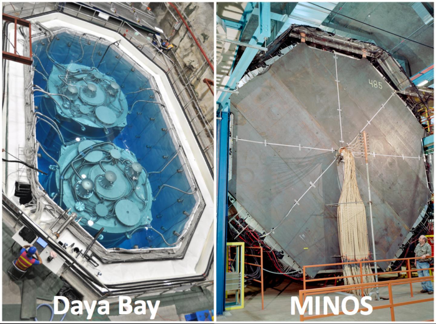MINOS and Daya Bay Collabortaive Search for Sterile Ghost Neutrinos