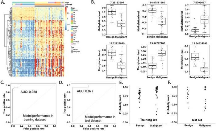 Differential methylation in the tissue cohort