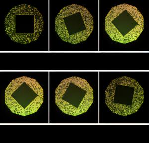 Results for quantitative characterization of LC alignment effect