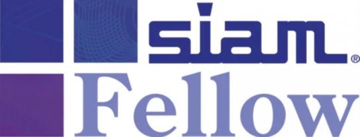 SIAM Fellows Program Logo