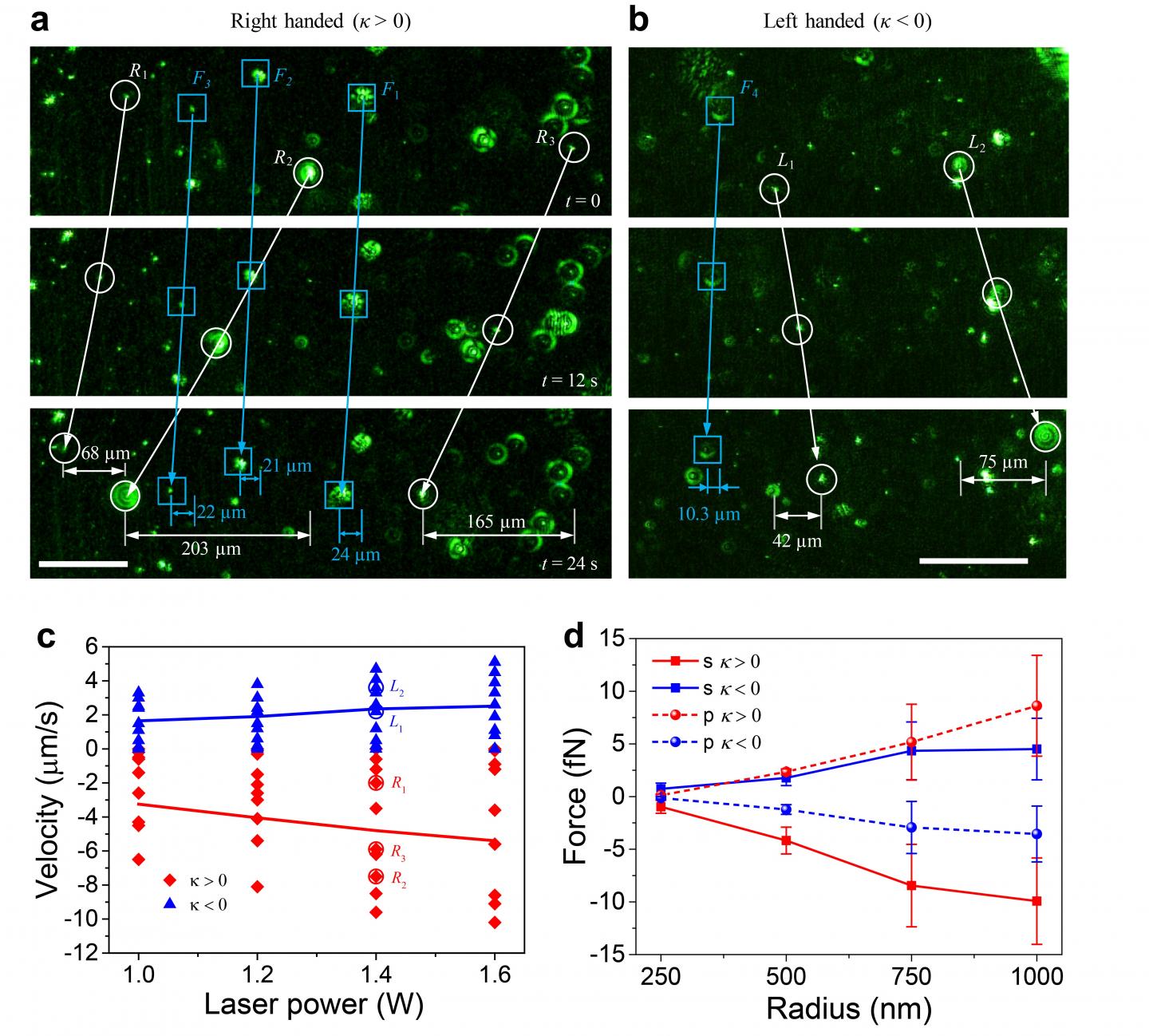 Experimental Demonstration of Sorting of Chiral Particles