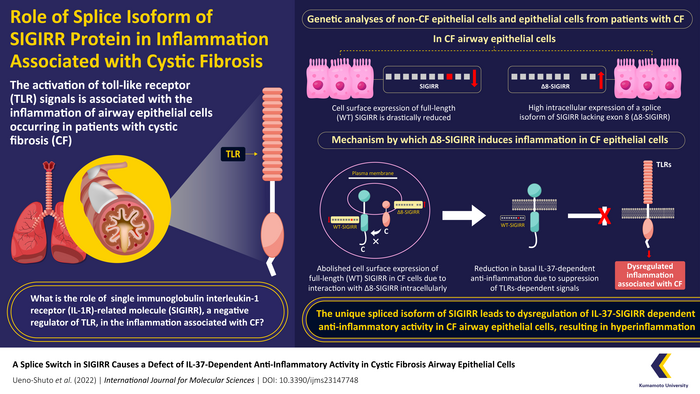 Discovery of a Defective SIGIRR-dependent Anti-inflammatory Pathway in Cystic Fibrosis