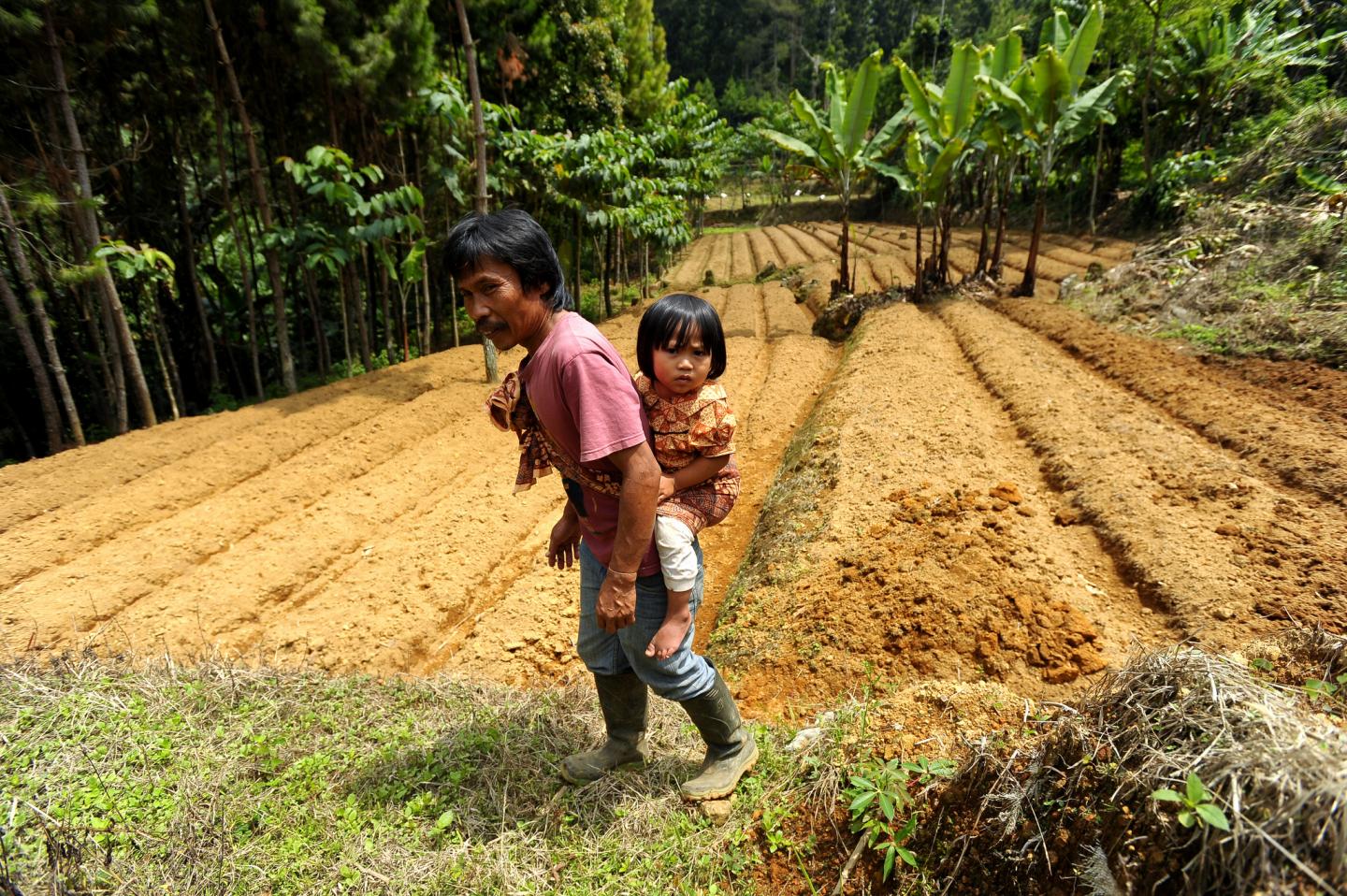 Photo: Father and Child in Farm Field
