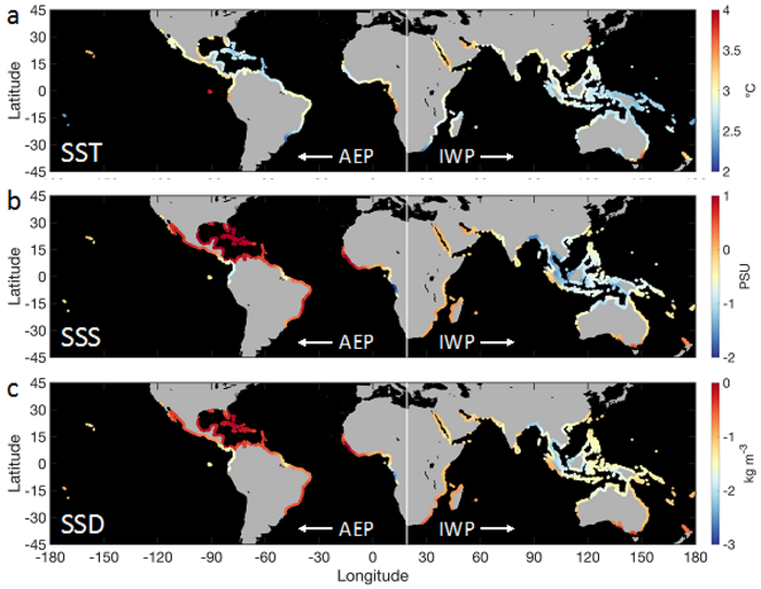 Global map showing change in sea surface temperature, salinity and density across mangrove regions