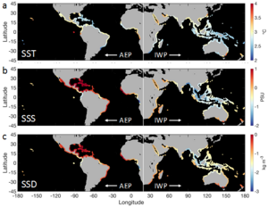 Climate change in oceanwater may impact mangrove dispersal - EurekAlert