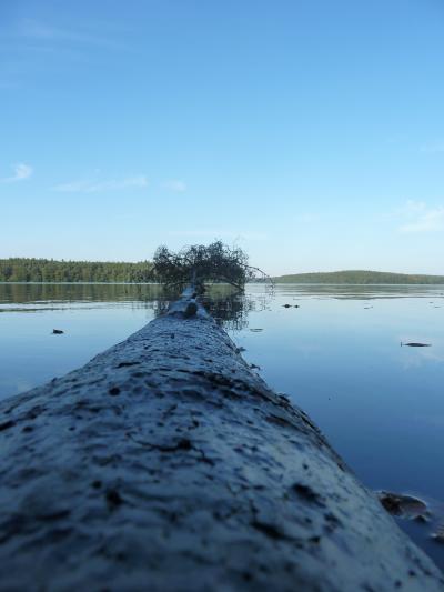 Sight from Lake Stechlin
