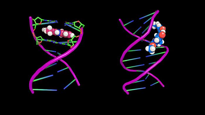 DNA TARGETING