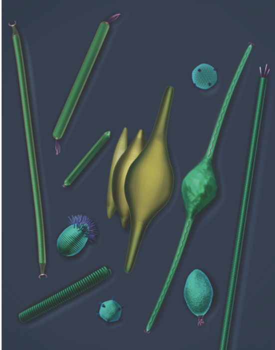 Shapeshifting volcano virus points to new ways to deliver drugs, vaccines