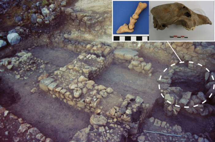 “Well” off in animals: A taphonomic history of faunal resources and refuse from a well feature at Petsas House, Mycenae (Greece)