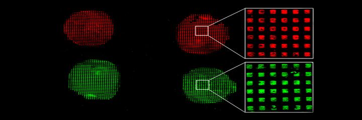 Microcontact Printing