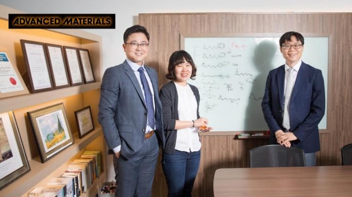 Hybrid Carbon Nanostructures (1 of 3)