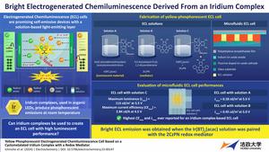 Towards novel ECL cells