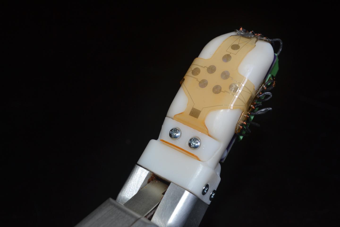 Robot Skin (2 of 2)