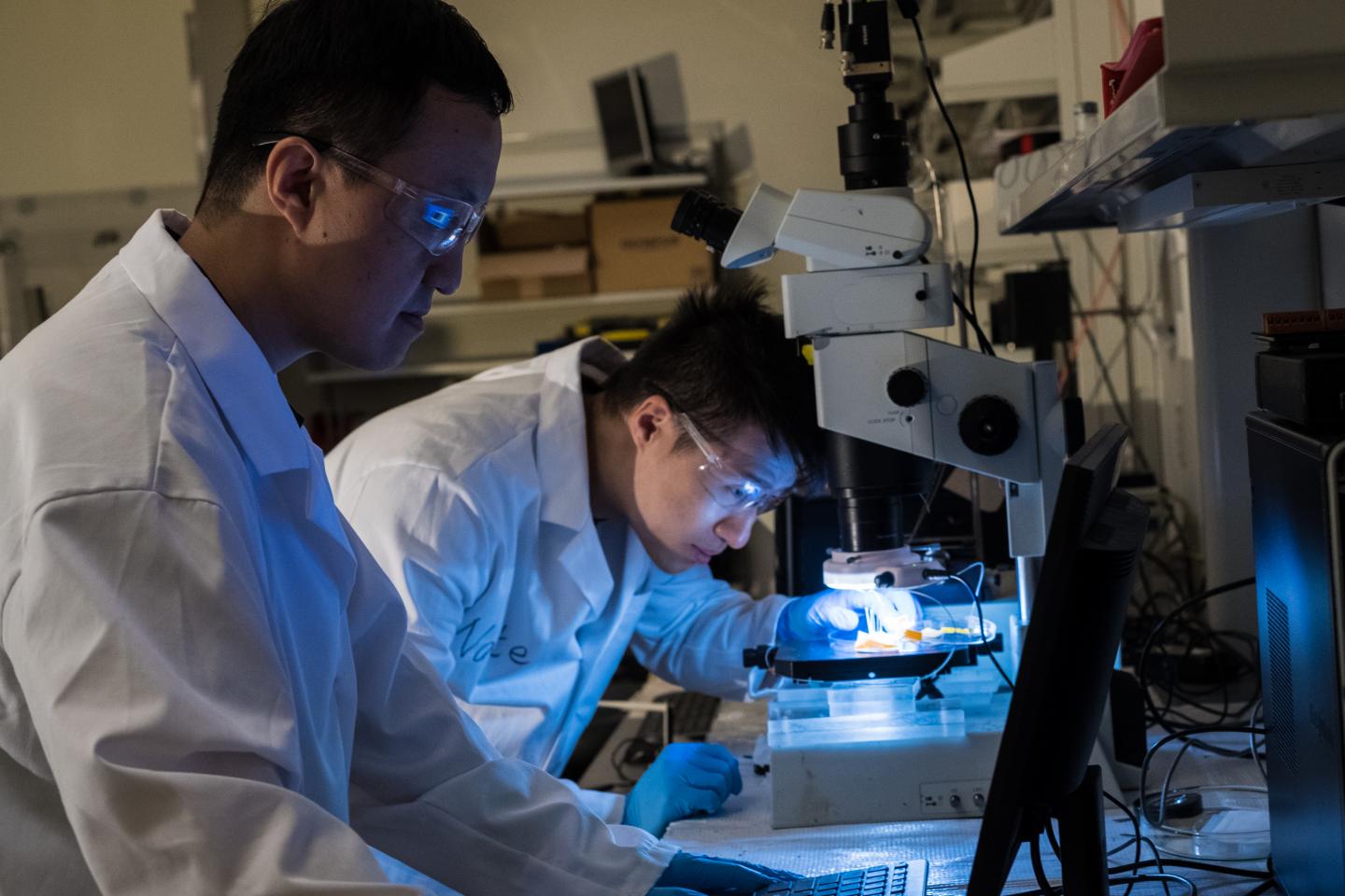 Rice University Researchers