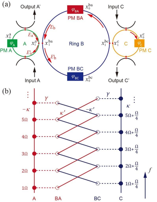 Figure 1 | The pseudo spin system constructed by ring resonators