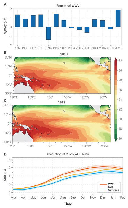 Current state and predicitions of 2023/24 El Niño