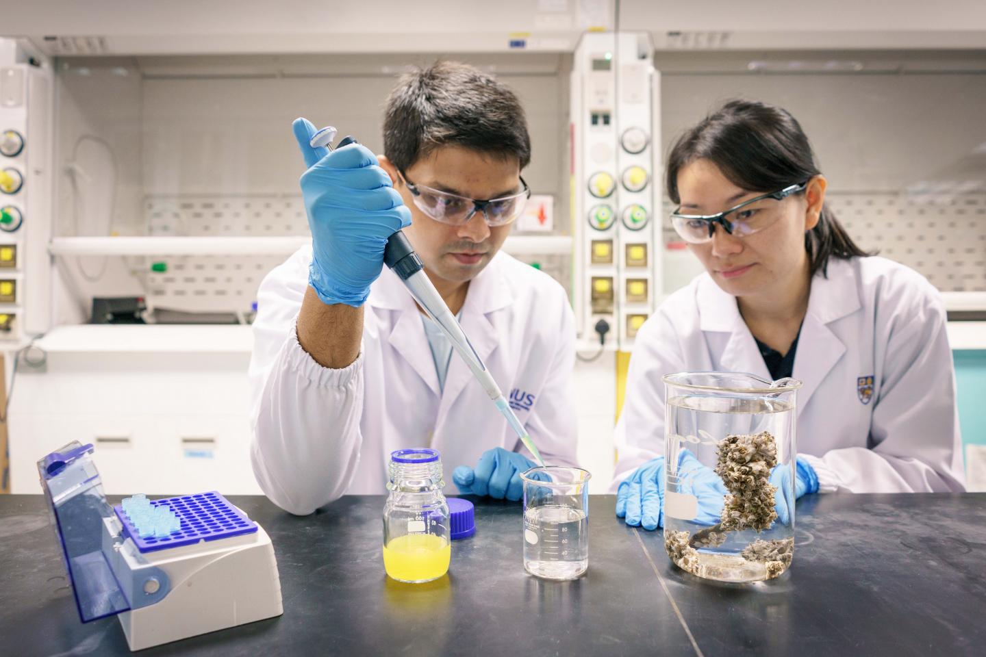 Research Team at the National University of Singapore