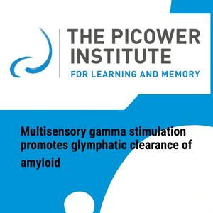 Gamma sensory stimulation clears amyloid via the glymphatic system