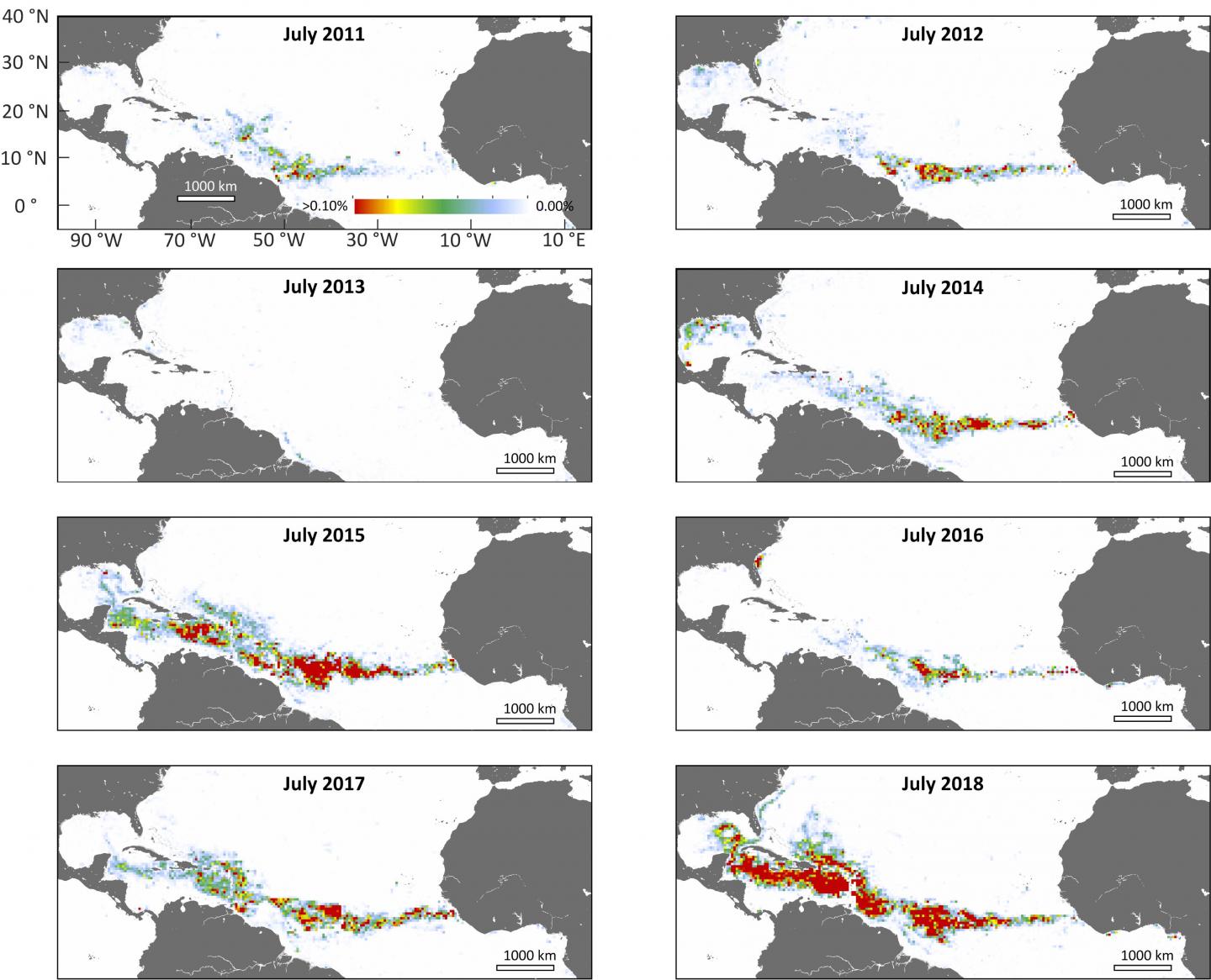 NASA Satellite Data Confirms Seaweed Belt Forms in the Summer