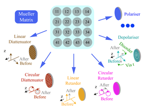 Mueller matrix and its encoded physical information