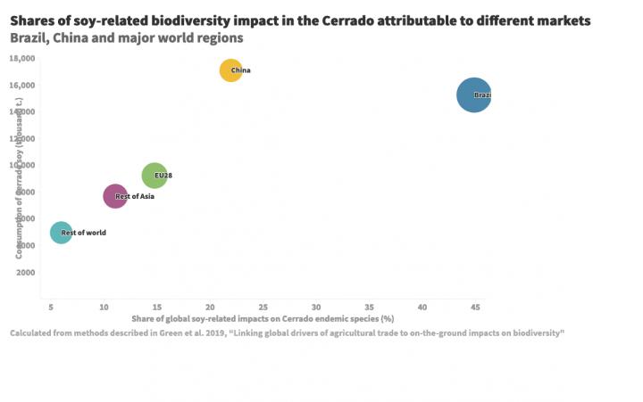 Impact by Regions