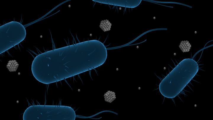 Silver Nanoparticles