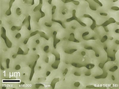 Nanoporous Graphene on Nanoporous Ni