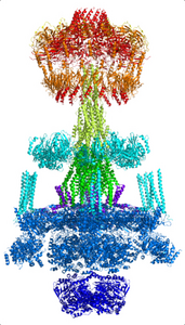 International team determines structure of a key player in antibiotic resistance