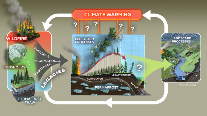 Climate warming alters ecological legacies