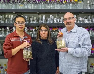Jian Shi, Seema Singh, and Blake Simmons, JBEI