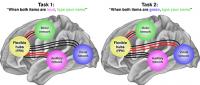 FPN Links Visual, Auditory and Motor Networks