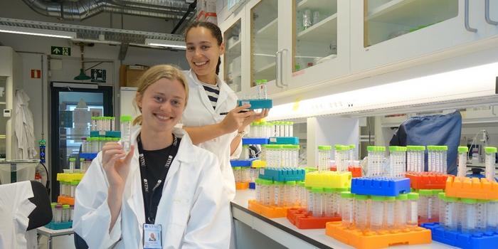 Young researchers in the lab uncovering the secrets of antibiotic resistance